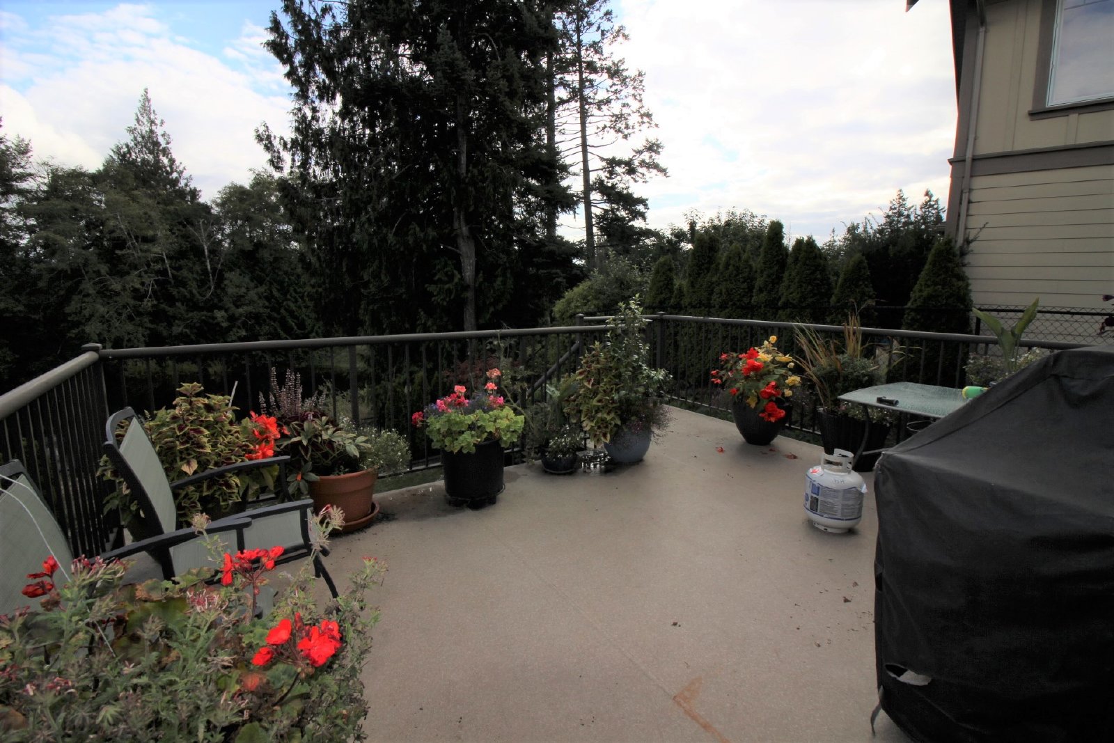 Maple Avenue North 2253 - Main property image